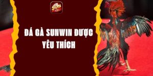 Đá gà Sunwin: Hướng Dẫn Chơi Và Bí Quyết Cá Cược Bất Bại